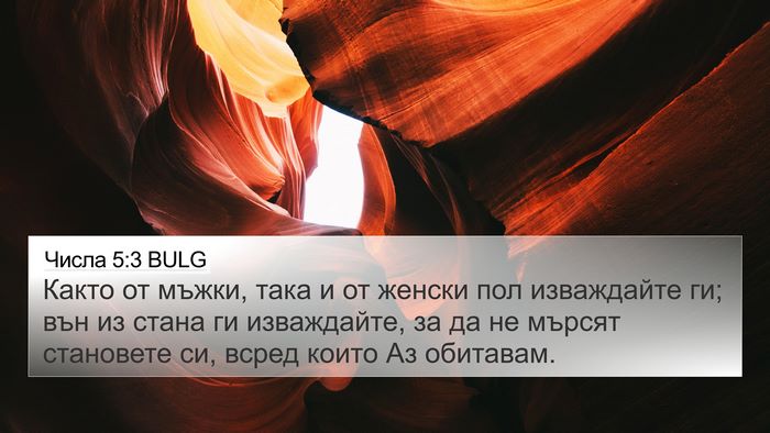 Числа 5:3 BULG Bible Verse Image