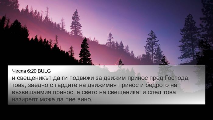 Числа 6:20 BULG Bible Verse Image