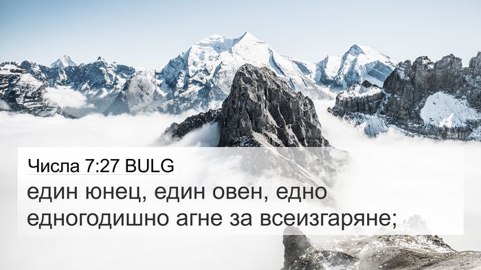 Числа 7:27 BULG Bible Verse Image