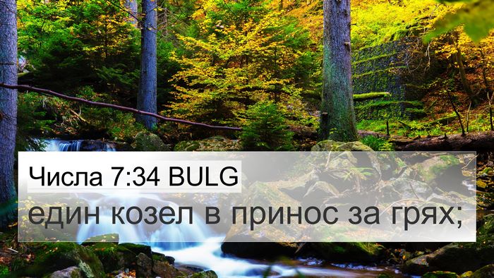 Числа 7:34 BULG 4K Wallpaper - един козел в принос за - 4K Wallpaper Bible Verse