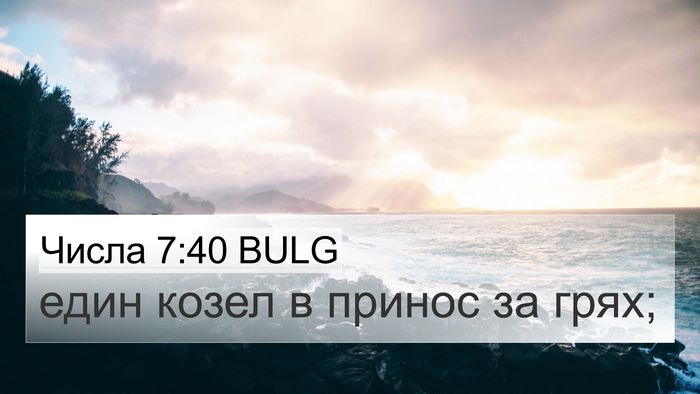 Числа 7:40 BULG 4K Wallpaper - един козел в принос за - 4K Wallpaper Bible Verse