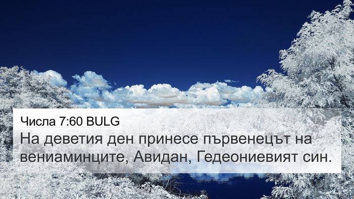 Числа 7:60 BULG Bible Verse Image