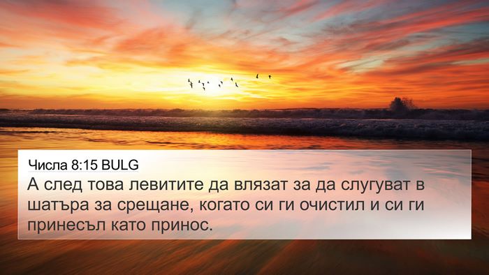 Числа 8:15 BULG Bible Verse Image