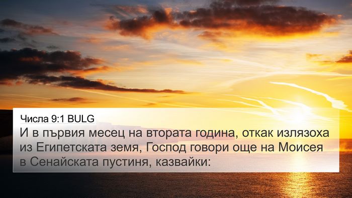 Числа 9:1 BULG Bible Verse Image