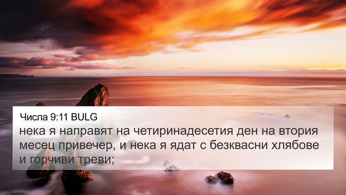 Числа 9:11 BULG Bible Verse Image