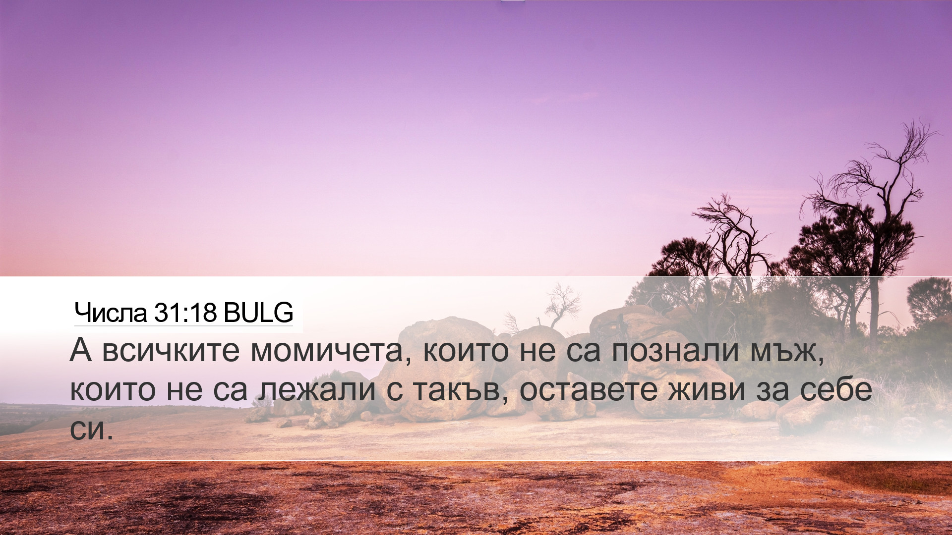Числа 31:18 BULG Desktop Wallpaper - А всичките момичета, които