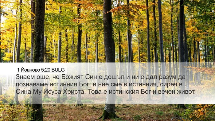 1 Йоаново 5:20 BULG Bible Verse Image