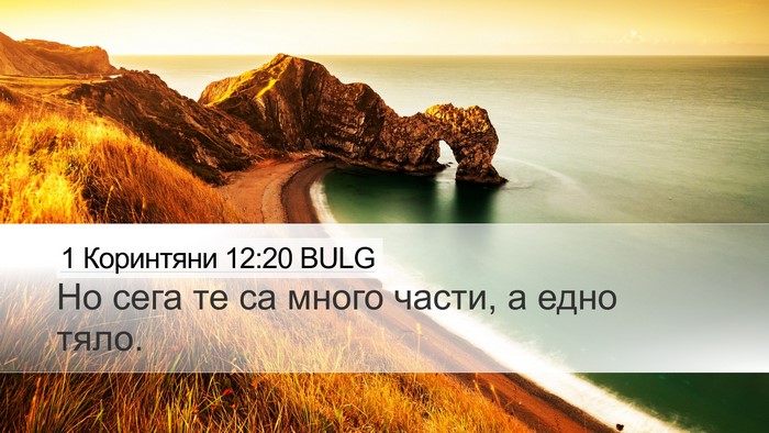 1 Коринтяни 12:20 BULG Bible Verse Image