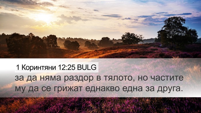 1 Коринтяни 12:25 BULG Bible Verse Image