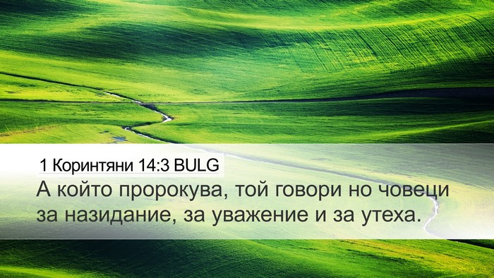 1 Коринтяни 14:3 BULG Bible Verse Image