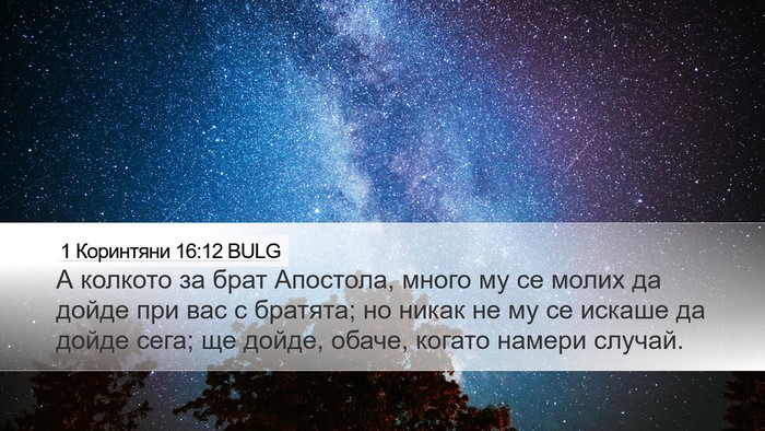 1 Коринтяни 16:12 BULG Bible Verse Image