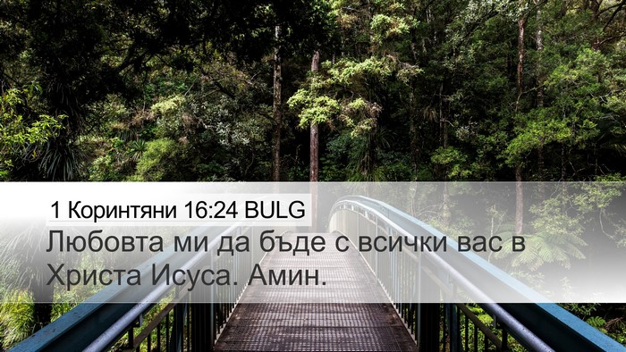 1 Коринтяни 16:24 BULG Desktop Wallpaper - Любовта ми да бъде с всички - Desktop Bible Verse Wallpaper
