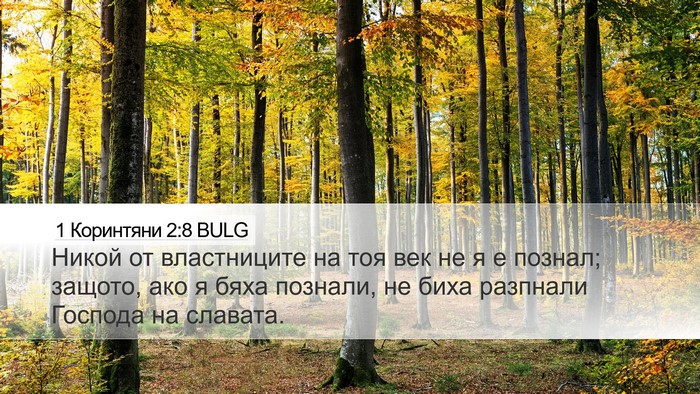 1 Коринтяни 2:8 BULG Bible Verse Image