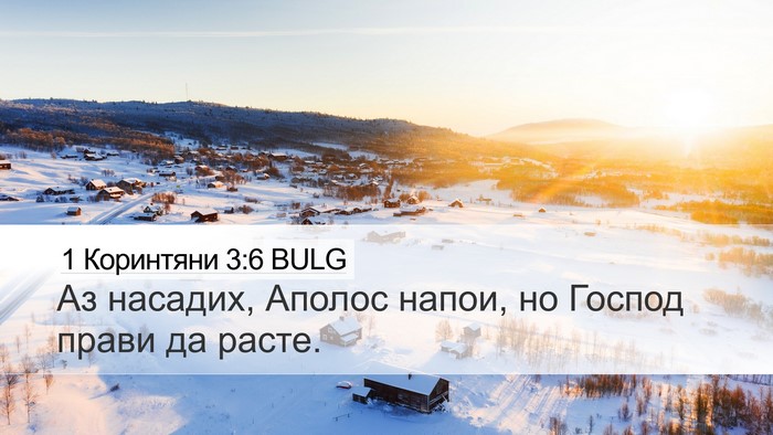 1 Коринтяни 3:6 BULG Bible Verse Image