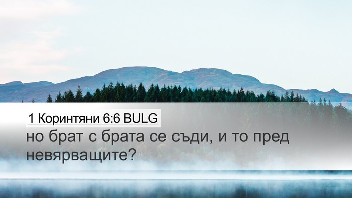 1 Коринтяни 6:6 BULG Bible Verse Image