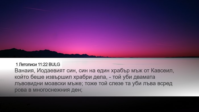 1 Летописи 11:22 BULG Bible Verse Image