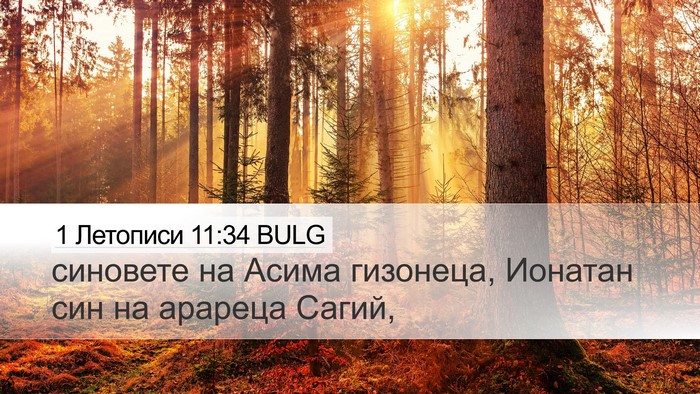 1 Летописи 11:34 BULG Bible Verse Image