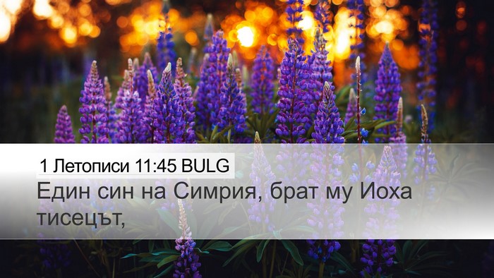 1 Летописи 11:45 BULG Desktop Wallpaper - Един син на Симрия, брат му - Desktop Bible Verse Wallpaper