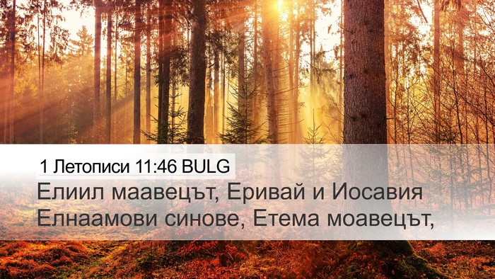 1 Летописи 11:46 BULG Desktop Wallpaper - Елиил маавецът, Еривай и - Desktop Bible Verse Wallpaper