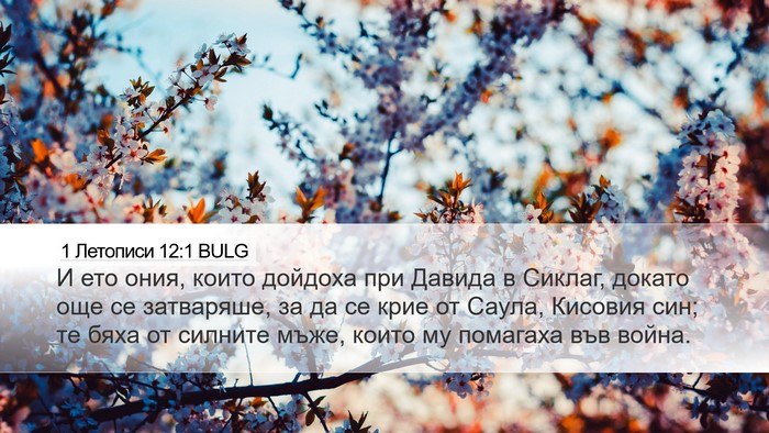 1 Летописи 12:1 BULG Bible Verse Image