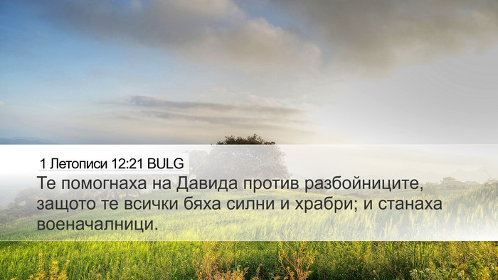 1 Летописи 12:21 BULG Desktop Wallpaper - Те помогнаха на Давида - Desktop Bible Verse Wallpaper