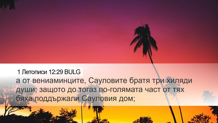 1 Летописи 12:29 BULG Bible Verse Image