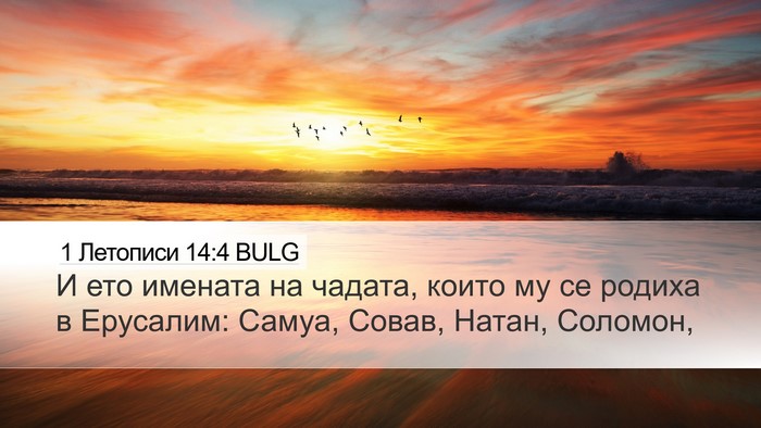 1 Летописи 14:4 BULG Bible Verse Image