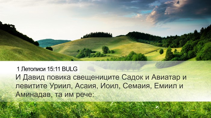 1 Летописи 15:11 BULG Bible Verse Image