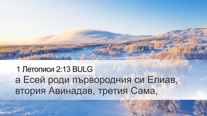 1 Летописи 2:13 BULG Bible Verse Image