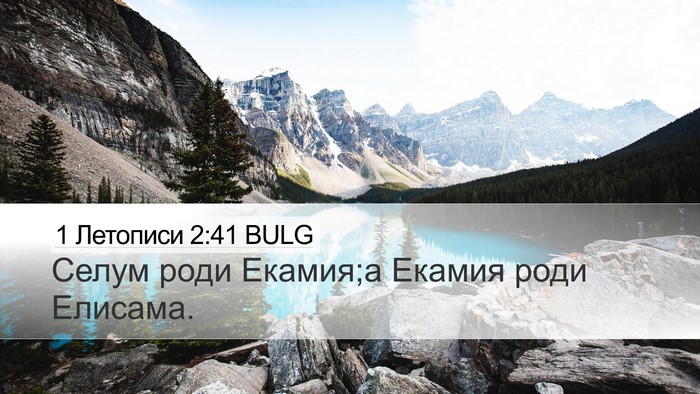 1 Летописи 2:41 BULG Desktop Wallpaper - Селум роди Екамия;а Екамия - Desktop Bible Verse Wallpaper