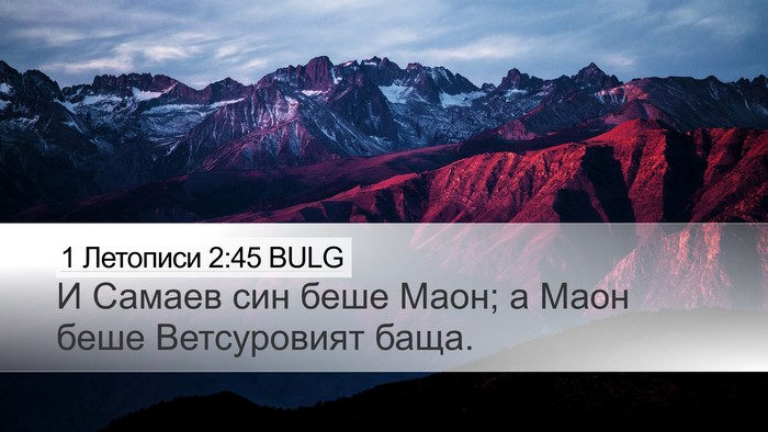 1 Летописи 2:45 BULG Bible Verse Image