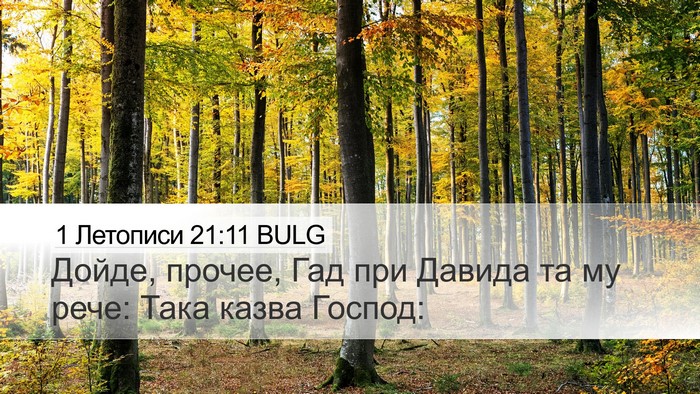 1 Летописи 21:11 BULG Desktop Wallpaper - Дойде, прочее, Гад при - Desktop Bible Verse Wallpaper