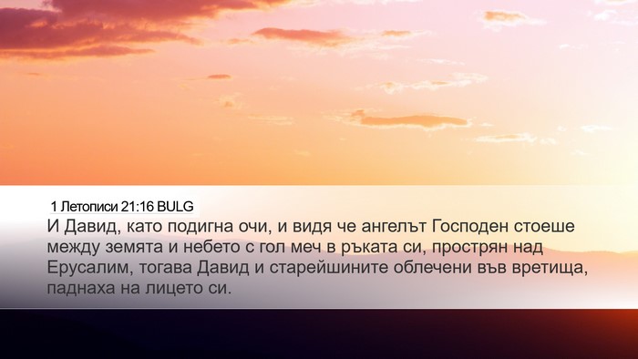 1 Летописи 21:16 BULG Bible Verse Image