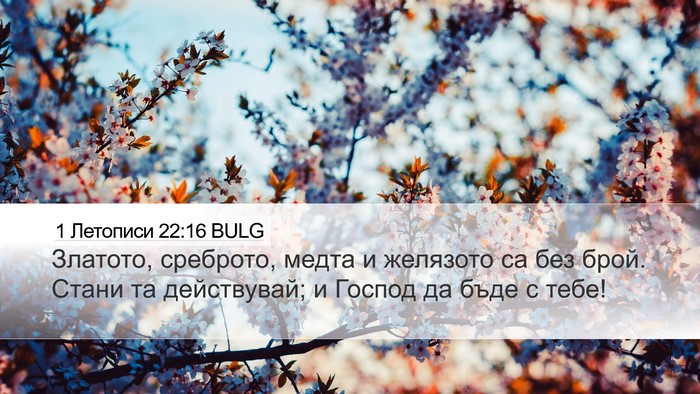 1 Летописи 22:16 BULG Bible Verse Image