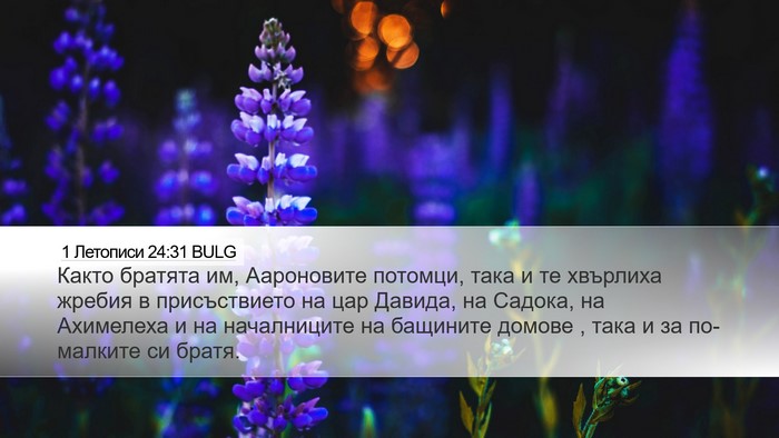 1 Летописи 24:31 BULG Bible Verse Image