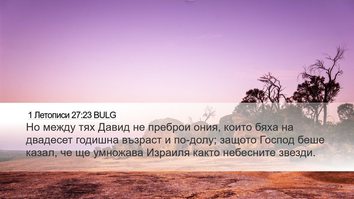 1 Летописи 27:23 BULG Bible Verse Image