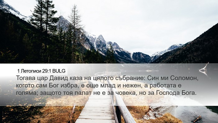 1 Летописи 29:1 BULG Bible Verse Image