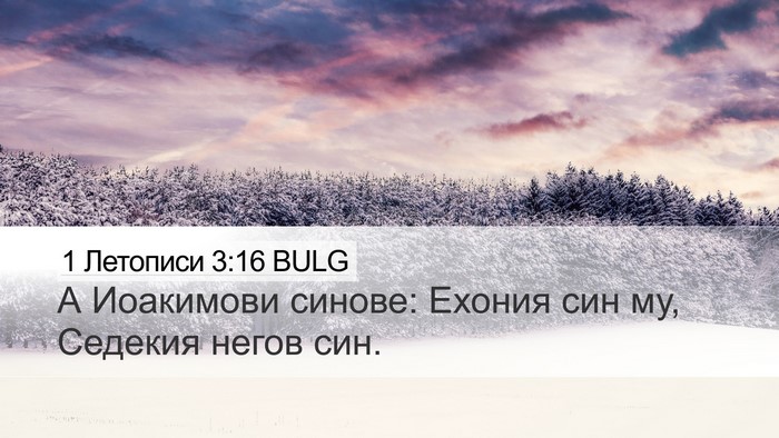 1 Летописи 3:16 BULG Bible Verse Image