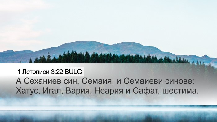 1 Летописи 3:22 BULG Bible Verse Image