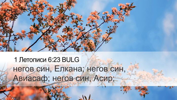 1 Летописи 6:23 BULG Desktop Wallpaper - негов син, Елкана; негов - Desktop Bible Verse Wallpaper