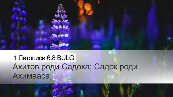 1 Летописи 6:8 BULG Bible Verse Image