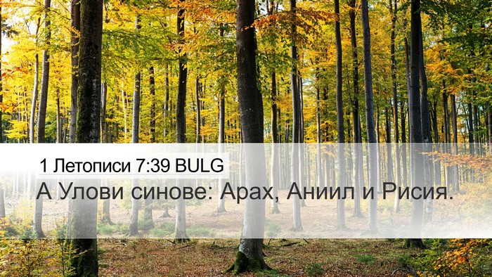 1 Летописи 7:39 BULG Desktop Wallpaper - А Улови синове: Арах, Аниил - Desktop Bible Verse Wallpaper
