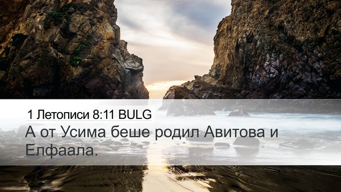 1 Летописи 8:11 BULG Desktop Wallpaper - А от Усима беше родил - Desktop Bible Verse Wallpaper