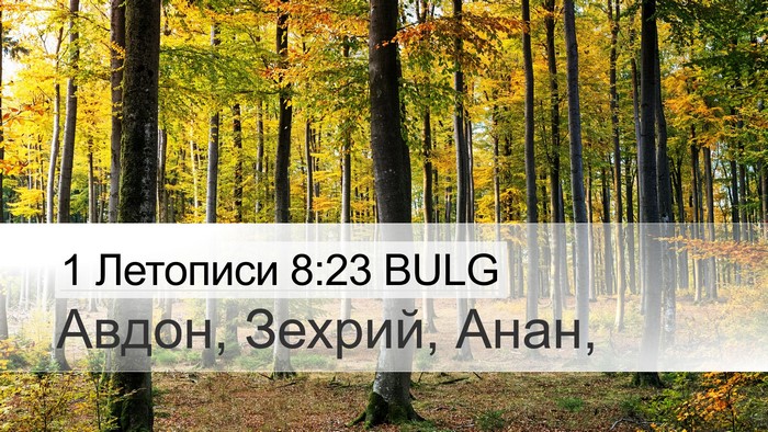 1 Летописи 8:23 BULG Desktop Wallpaper - Авдон, Зехрий, - Desktop Bible Verse Wallpaper