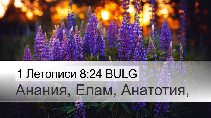 1 Летописи 8:24 BULG Desktop Wallpaper - Анания, Елам, - Desktop Bible Verse Wallpaper