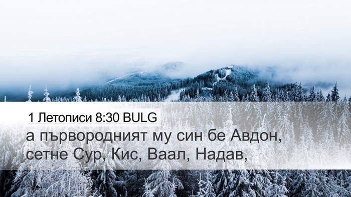 1 Летописи 8:30 BULG Bible Verse Image