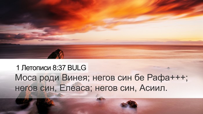 1 Летописи 8:37 BULG Bible Verse Image