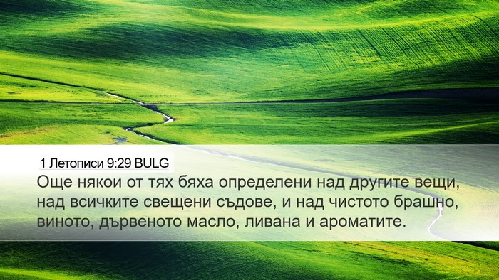 1 Летописи 9:29 BULG Bible Verse Image