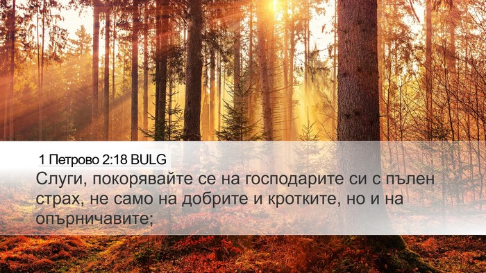 1 Петрово 2:18 BULG Desktop Wallpaper - Слуги, покорявайте се на - Desktop Bible Verse Wallpaper