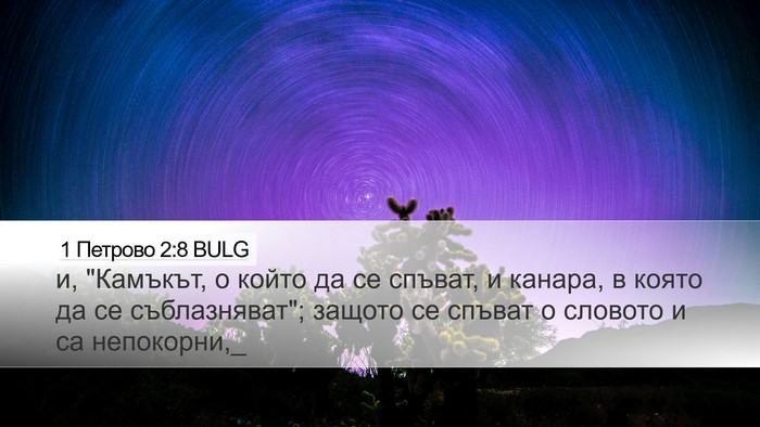 1 Петрово 2:8 BULG Bible Verse Image